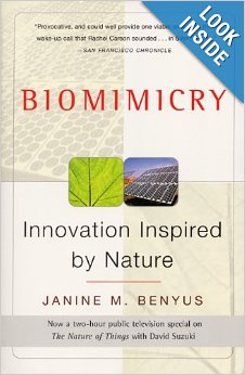 Biomimicry - Innovation inspired by Nature - Janine Benyus
